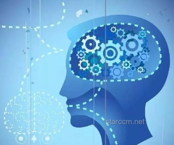 人的大腦會不會出現「過擬合」病？探究大腦學習與記憶的奧秘