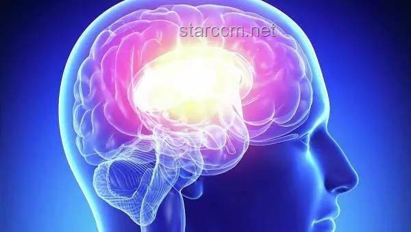 人的大腦會不會出現「過擬合」病？探究大腦學習與記憶的奧秘