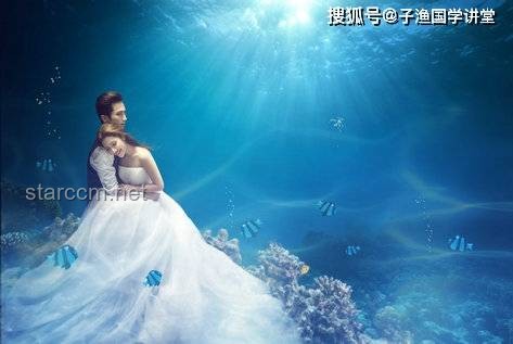 【杜比視界】在萬島之國，探索水下攝影的首次免費樣片之旅？