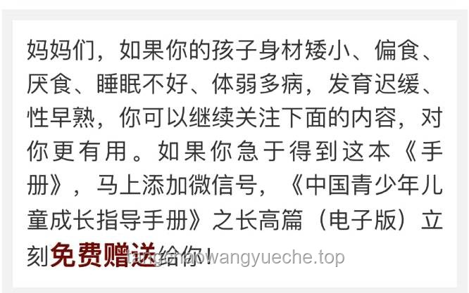 母子錯過航班大鬧機場，聲稱耽誤考公：一場關于情緒管理與規劃的警示