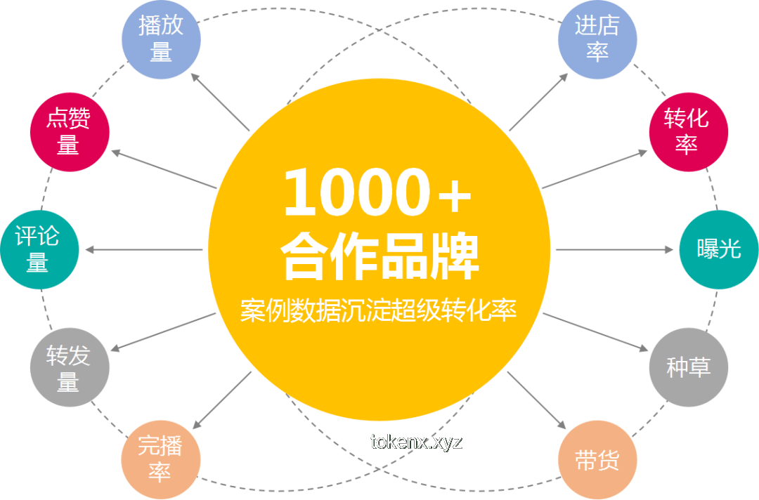 特廚隋坡的啟示：MCN的自我毀滅路徑與創新重生策略 ??, 轉型, 策略升級, 內容創新, 數字化生態
