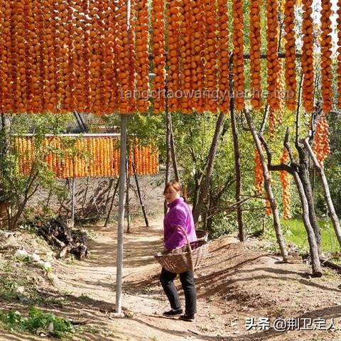 如何高效模仿不同地區(qū)美食劇氛圍，應(yīng)對忙碌拍攝日？