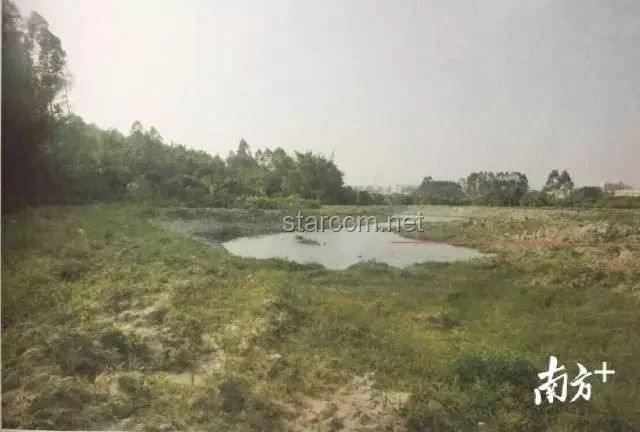 不出錢包下20畝大魚塘，高效養殖賺取大利潤實用指南