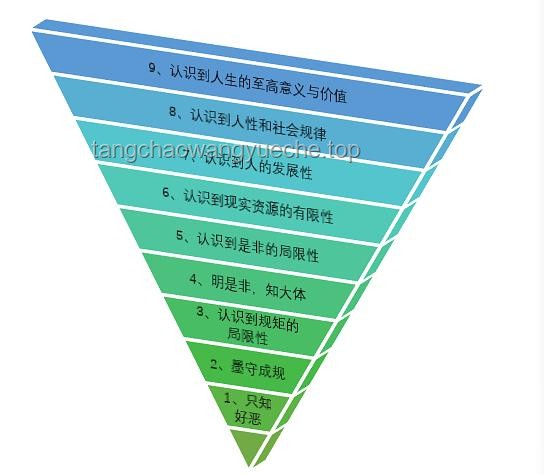 “滿級人類”的決策迷霧：挑戰常規認知的案例分析