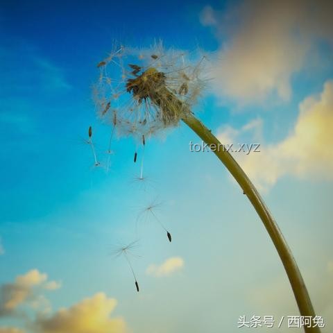 探索行業邊際：去了一趟“世界盡頭”的啟示