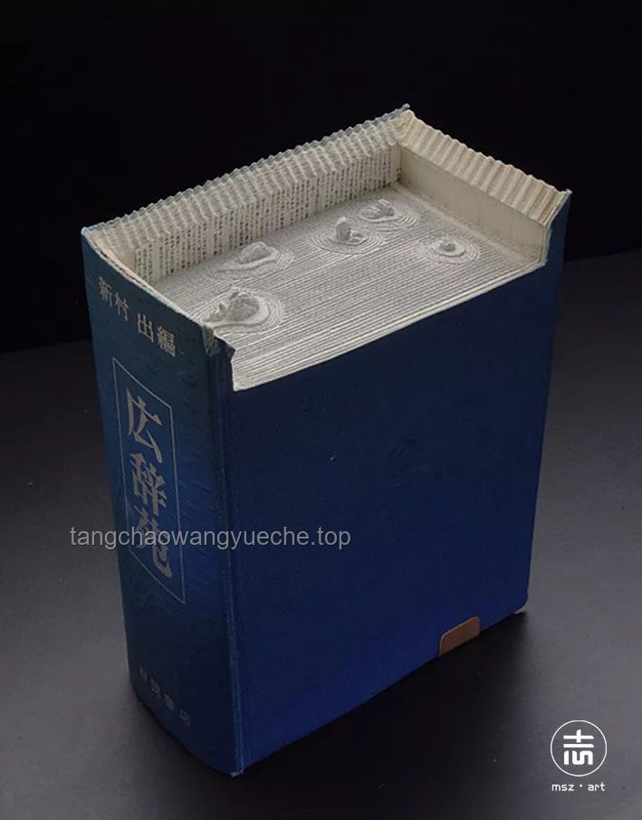打開書本與槍柜：跨界視角下的社會奇觀解析