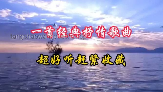 海外游子音樂情：將心中旋律獻給老家江邊的深情之旅