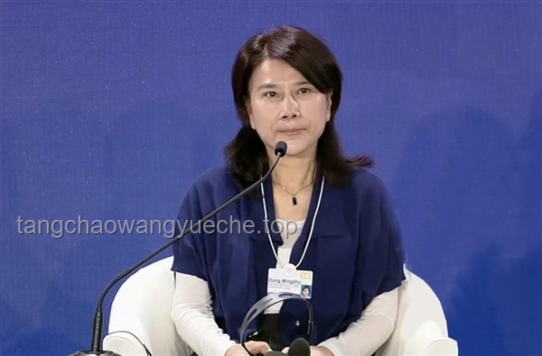 孟羽童與董明珠微信互動：職場人際網絡的微妙與機遇