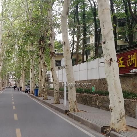 5月22日武漢暴雨警報解析：武大校門被淹，出行指南