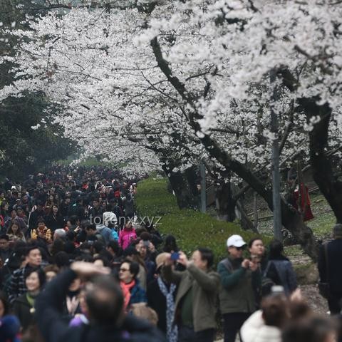 5月22日武漢暴雨警報解析：武大校門被淹，出行指南