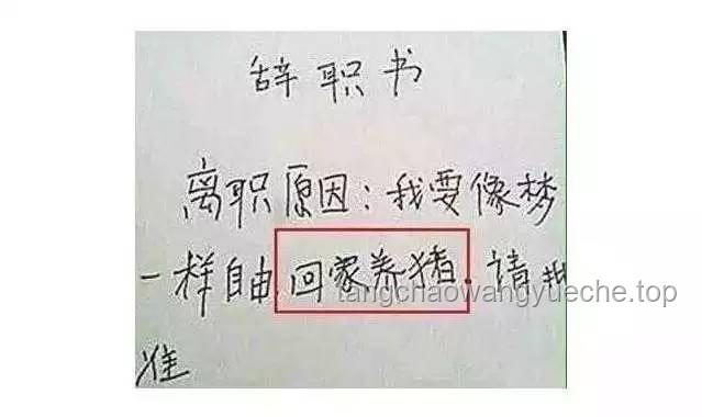 當(dāng)前年輕人“不開心即辭職”現(xiàn)象深度剖析：底氣何在？