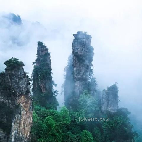 張家界暴雨洪水災(zāi)害下的旅游業(yè)應(yīng)對策略與行業(yè)洞察