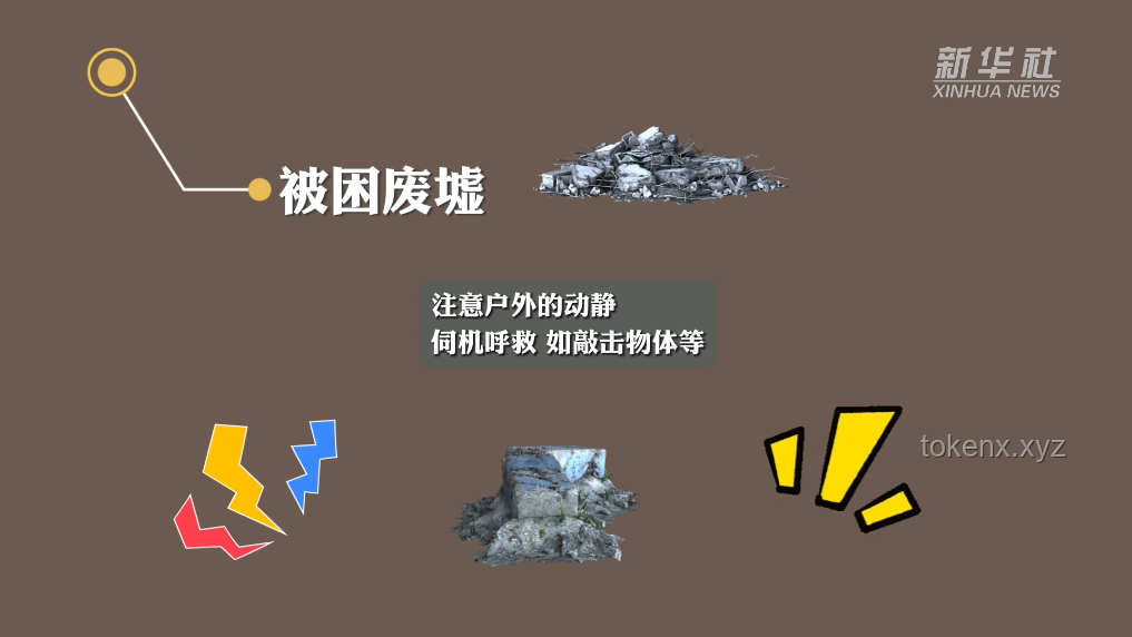 《鱗甲下的哀傷》問題解決指南：如何以智慧應對人心之難