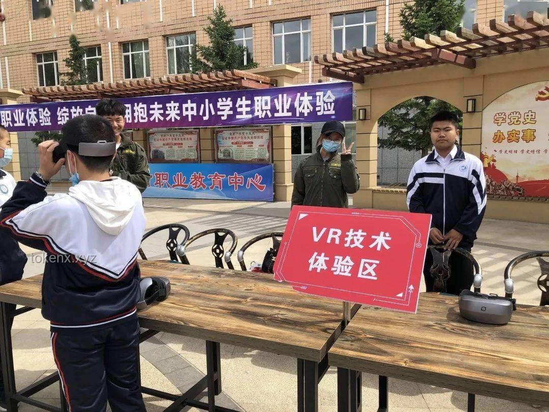 蘆葦泥瓦建筑材料的創新與鄉村教育設施改善行業洞察