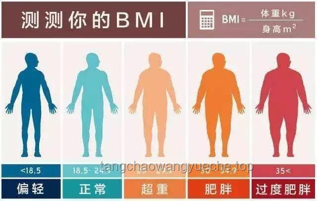肥胖癥與健康管理：從600斤男子去世事件透視行業現狀與發展