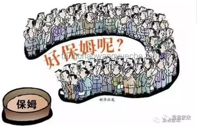 “灑家會些醫(yī)術(shù)，也略懂一些拳腳”：跨領(lǐng)域技能融合在現(xiàn)代社會的應(yīng)用與價值