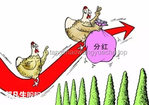 《怪誕耗子》系列爆紅背后的網(wǎng)絡視頻行業(yè)洞察