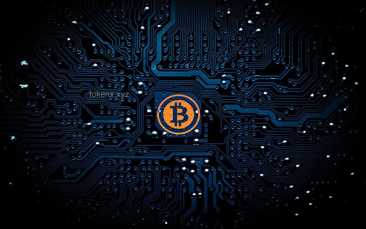 隋卞MCN網(wǎng)暴風(fēng)波：真相曝光與自我錘爆的深度剖析