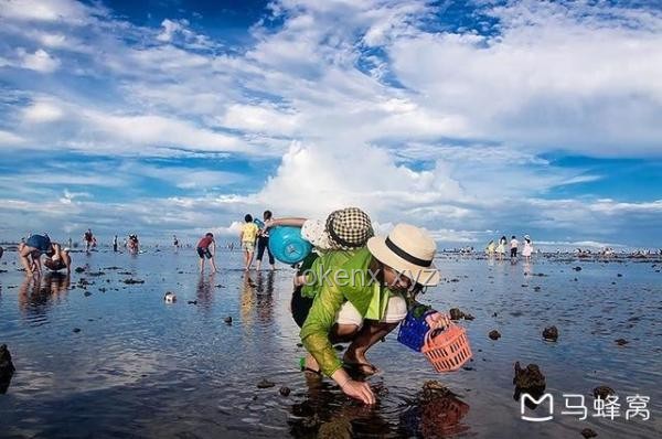趕海奇遇：從水母靈感到即時美食創新的思維飛躍