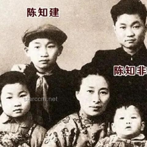 如果沒有天賦，那么請你，一直重復：通往卓越的實用指南