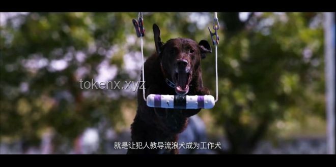 Level1573：愛的救贖——解鎖情感創新的密鑰