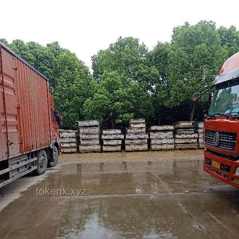 武漢暴雨全解析：來勢洶洶，如何應對？