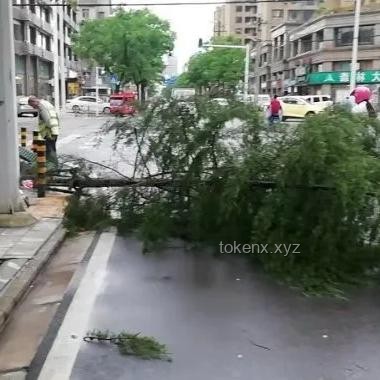 武漢暴雨全解析：來勢洶洶，如何應對？