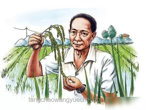 “禾下乘涼夢”的傳承與實踐：緬懷與致敬袁隆平爺爺