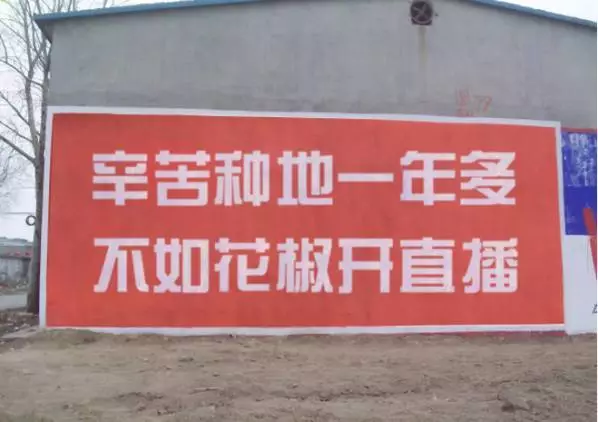 反游背后的生意揭秘：販賣焦慮、收割流量、辦集中營