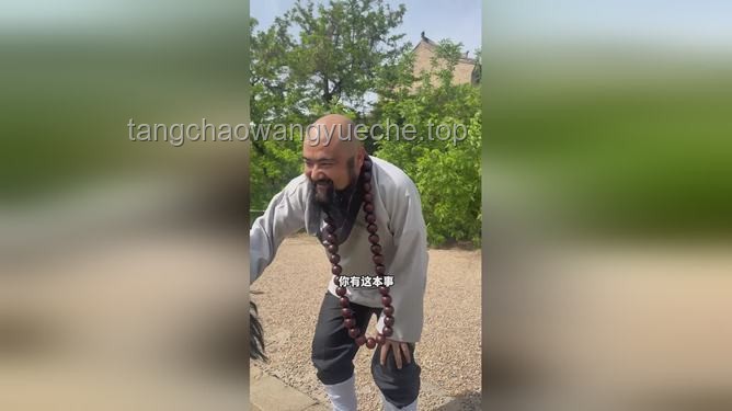 **“灑家會些醫術，也略懂一些拳腳”：跨界生活的藝術**