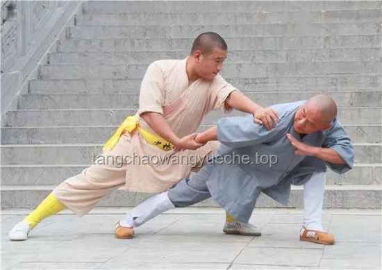 **寸勁之力，開天辟地：我的武術修行與人生感悟**
