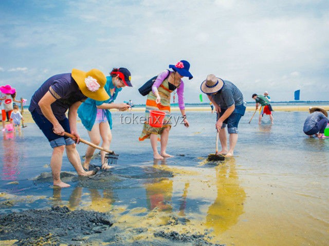 趕海旅游行業新趨勢：現抓現吃與海洋生態體驗的融合探索