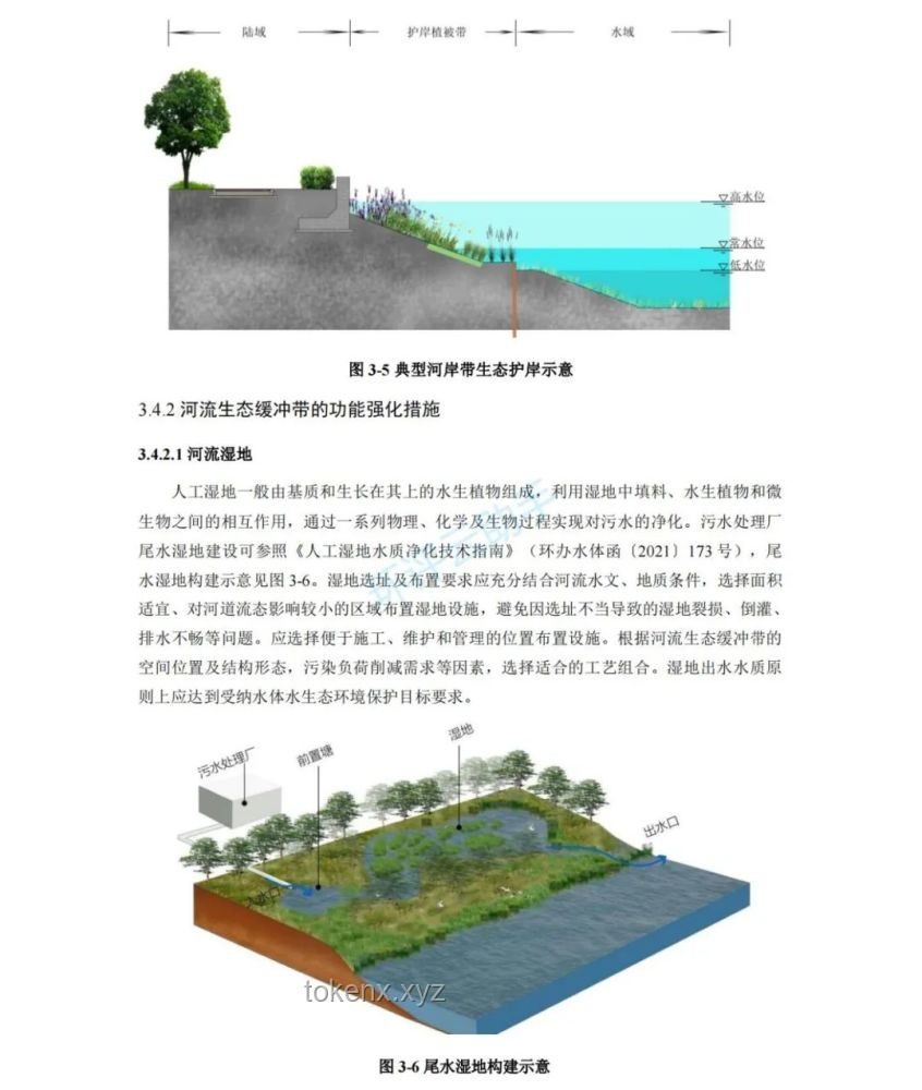修水壩二期工程與溪流生態環境恢復：義不容辭的責任與策略
