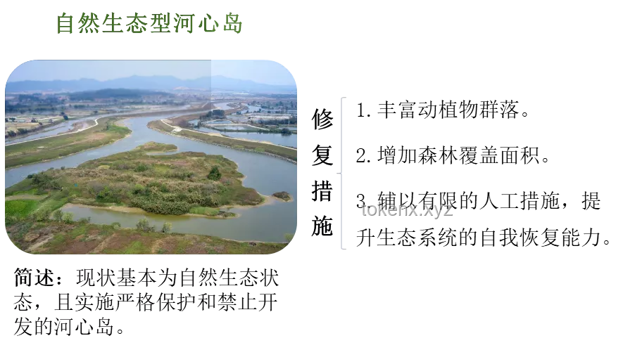 修水壩二期工程與溪流生態環境恢復：義不容辭的責任與策略
