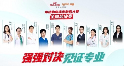 第二屆小動物皮膚病論壇過敏主題實操指南：專家破解臨床診療困局