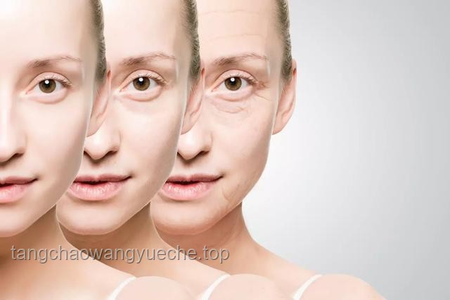 媳婦臉上的點(diǎn)和線：解鎖未來美容科技新趨勢