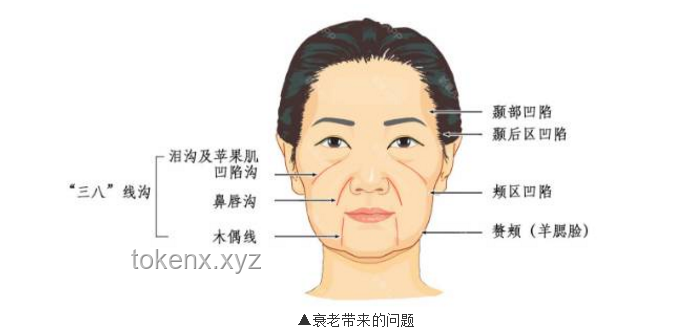 媳婦臉上的點和線，如何構(gòu)成獨特的“面”
