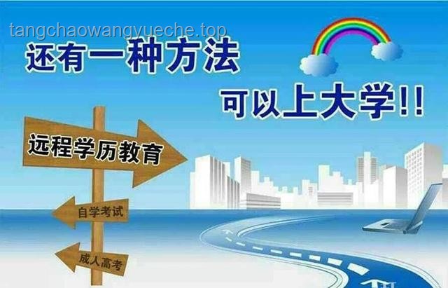 風暴中的哈佛大學：教育變革下的領航者之路