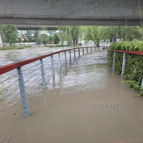 什么橋都敢堵？了解交通違法行為與公共安全