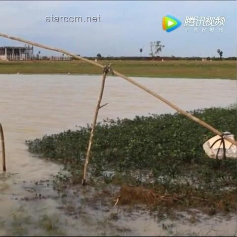 探險安全新趨勢：巨型鯰魚洞穴事件后的反思與未來展望