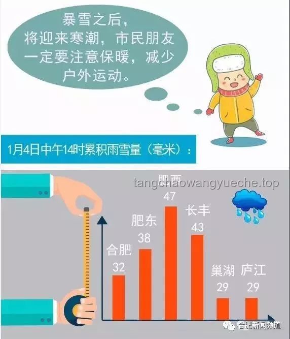《鱗甲下的哀傷》趨勢(shì)預(yù)測(cè)：從網(wǎng)絡(luò)熱度到社會(huì)情感共鳴的深化