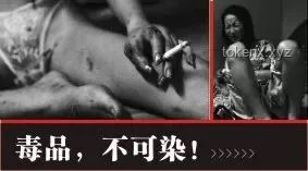 美國社會視角下：毒品、暴力與政治正確的真實看法【你好美國 Reaction】指南