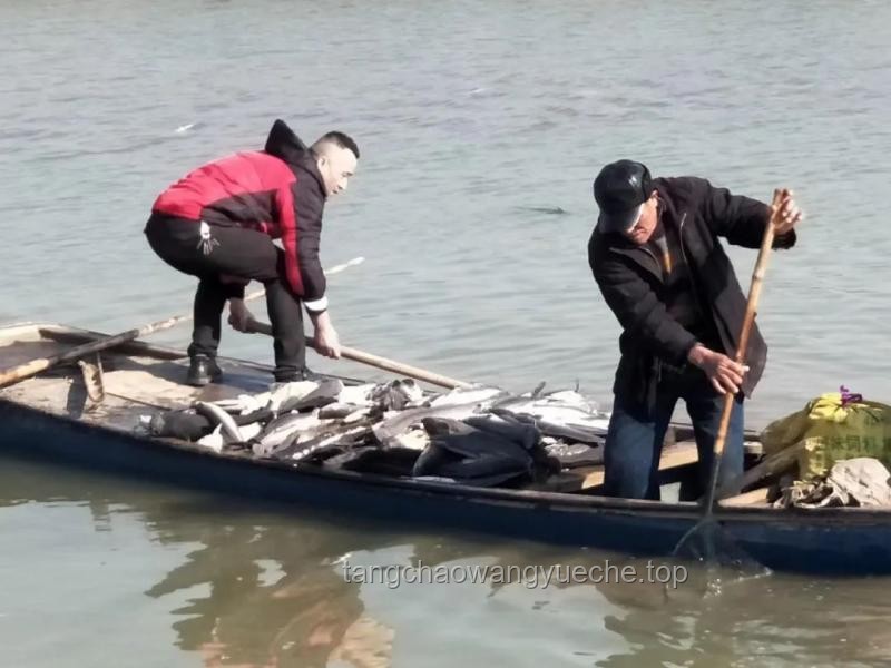 ??從洞穴探險到創新啟示：追鯰魚的勇氣與救援的反思??