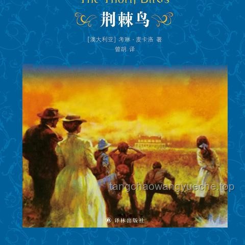 《浮生一戲》與同類原創(chuàng)動畫的對比分析：藝術(shù)、敘事與技術(shù)的碰撞