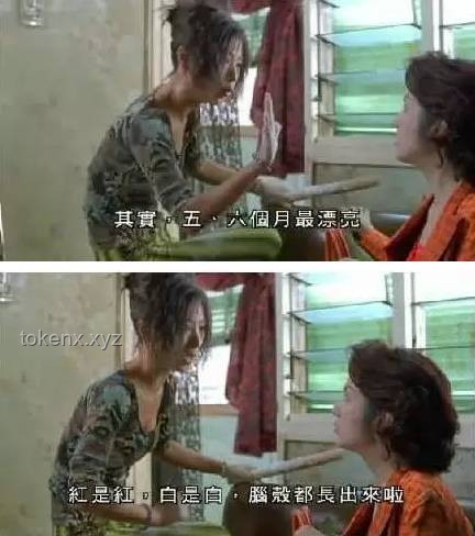 **一次大掃除后的驚魂記，我再也不敢搞衛(wèi)生了！**