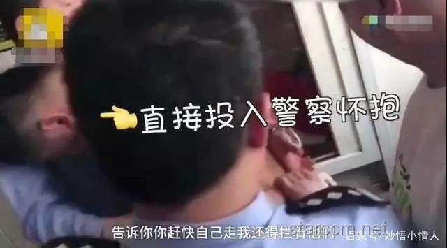 編劇！偷貓事件背后的崩鐵3.3歡樂吐槽分析