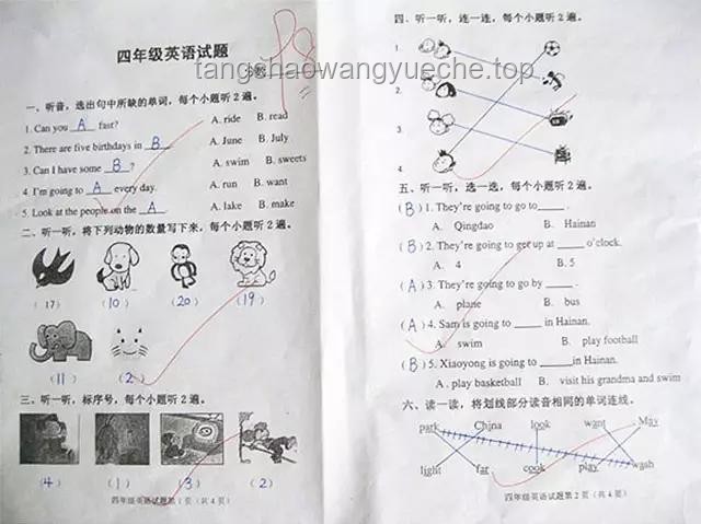【四六級】英語備考攻略：掌握高效數(shù)據(jù)包技巧，輕松提升成績