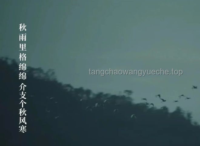 **深夜獨白：那份孤獨奮斗后的成就感，這感覺，誰懂！！！**