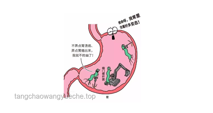 幽門螺桿菌：一人感染，全家需警惕的細菌