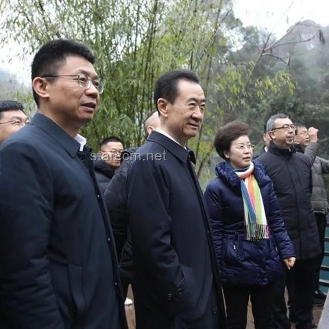 王健林股權(quán)凍結(jié)案深度剖析：4.9億股權(quán)背后的萬達(dá)困境與應(yīng)對(duì)策略